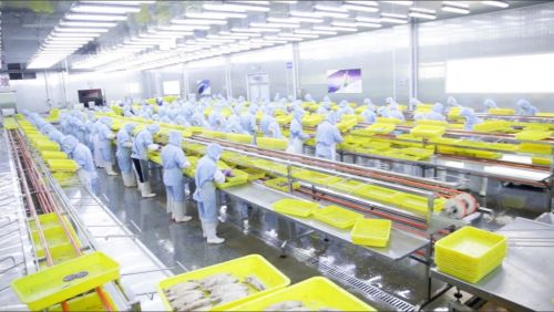 拼多多 商家權(quán)益保護(hù)委員會 推出惠商新舉措,新質(zhì)供給助外貿(mào)工廠成功轉(zhuǎn)內(nèi)銷