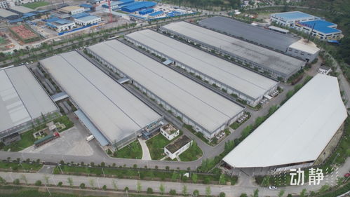 畝產超百萬,三個全國第一,貴州大山里有個食用菌 超級工廠